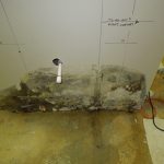 Mold growth on wall behind the cabinets
